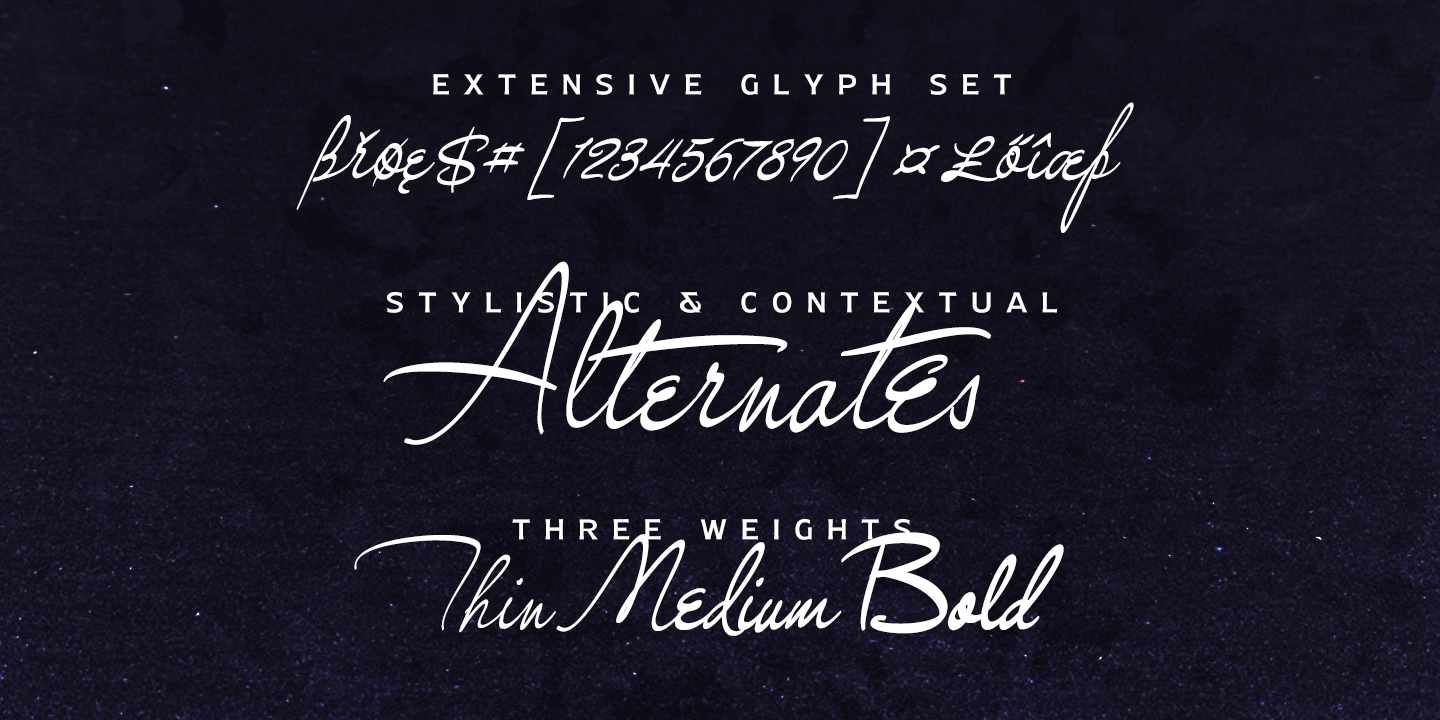 Gingo Thin Font preview